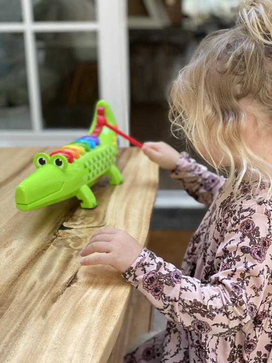 Actual product image Fisher-Price Crocodile Xylophone