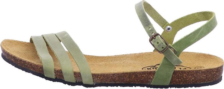 Actual product image Plakton 575080 PISTACIO (40)