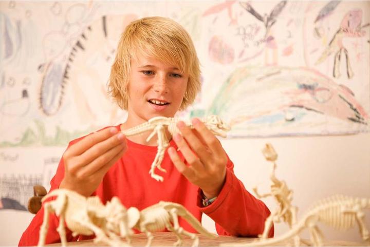 Immagine prodotto 4M Scheletro di Tyrannosaurus Rex - Set di scavi - Paleontologia - Bambino - 8 anni