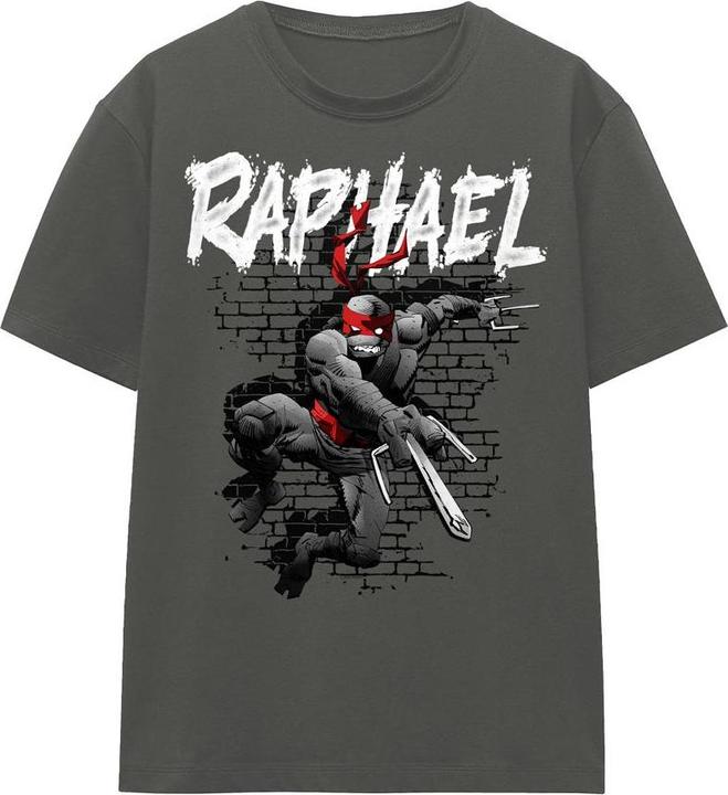 Actual product image Teenage Mutant NT Unisex Adult Raphael T-Shirt (M)