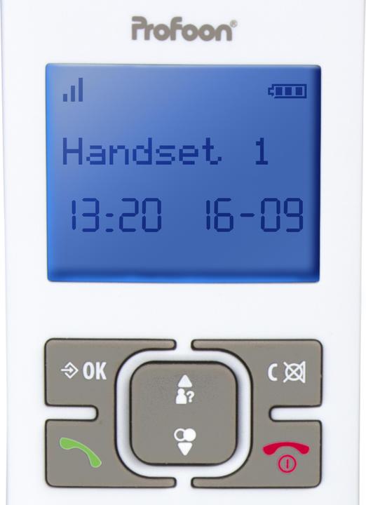 Productafbeelding Profoon PDX-8400TE