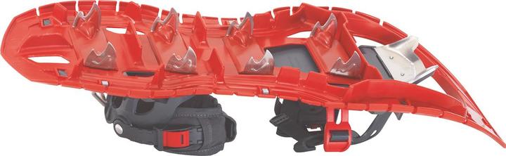 Image du produit Tsl Symbioz Elite (23.23")