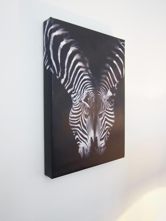 Immagine prodotto Pyramid Leroy il Leone (30 x 40 cm)