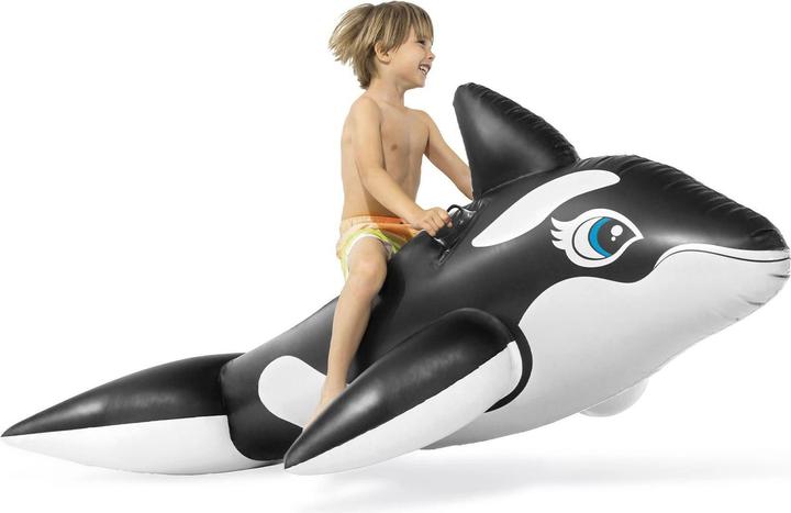Actual product image Intex Whale