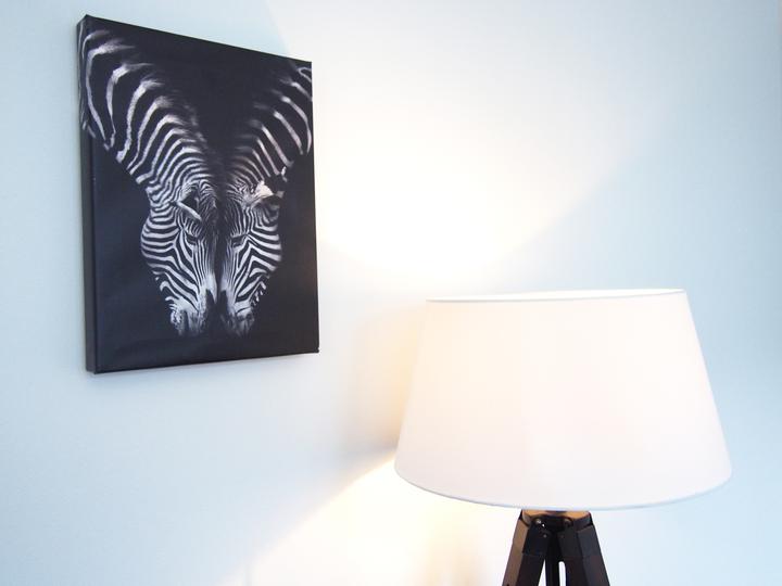 Immagine prodotto Pyramid Leroy il Leone (30 x 40 cm)