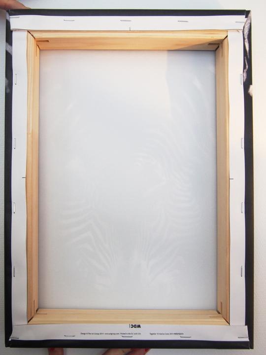 Immagine prodotto Pyramid Leroy il Leone (30 x 40 cm)