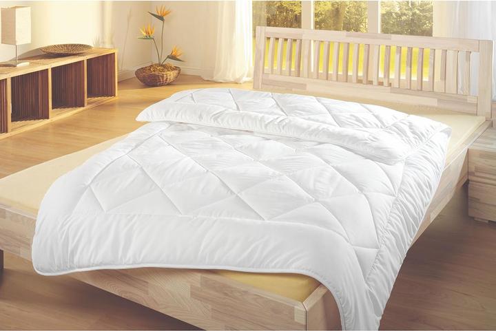 Image du produit Lipo Bamboo (1100 g, 160 x 210 cm)
