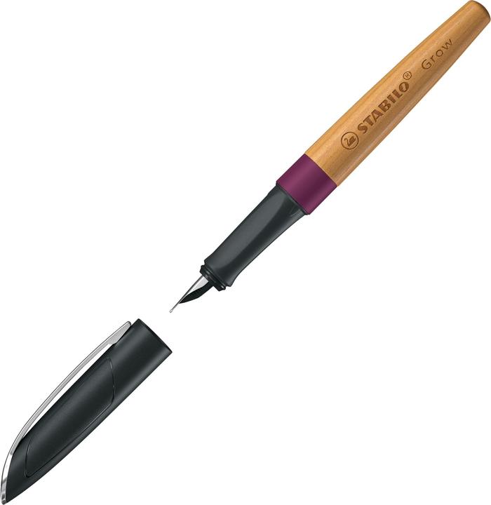 Produktbild STABILO Füllhalter Grow (Pflaume, Kirschbaum, 1 x)