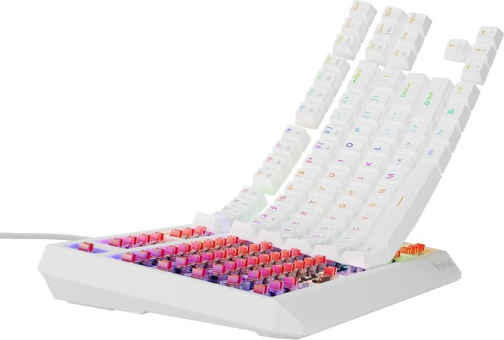Actual product image Genesis herní mechanická klávesnice THOR 230 TKL (US, Cable)