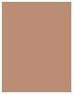 Produktbild Sisley Puder - Phyto-Poudre Compacte ( N°4 Bronze ) (4 Bronze)