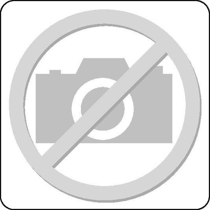 Immagine prodotto HP Autozubehör Sacco di plastica 240 l LD-PE grigio 100 µm L650/550xL1350mm (50 x, 240 l)