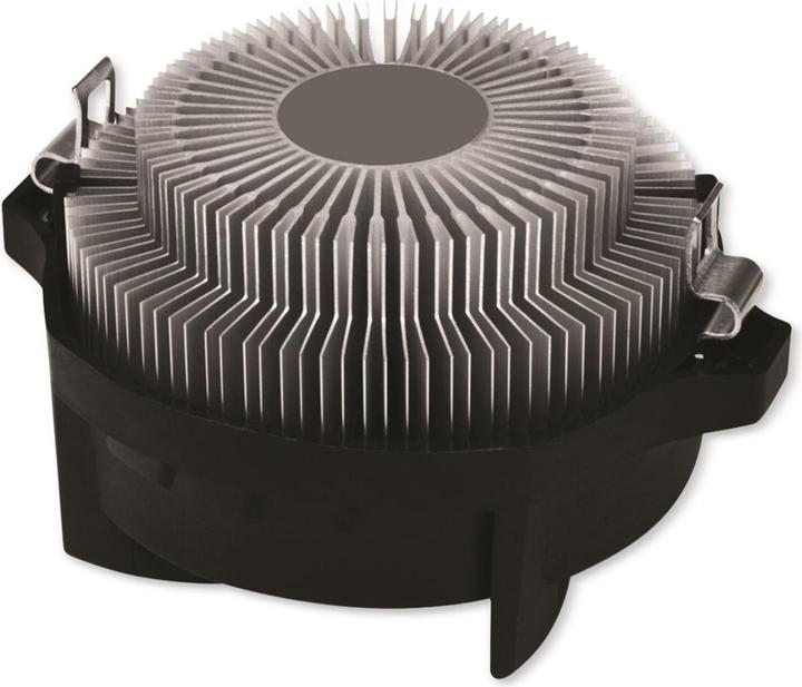 Actual product image Arctic Alpine 23 (65 mm)