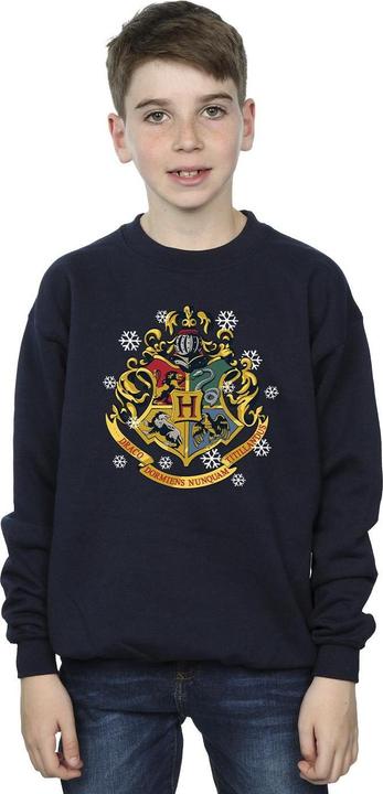 Actual product image Boys Christmas Crest Sweatshirt (128)