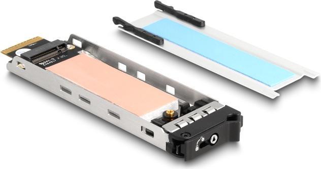 Produktbild Delock Wechselrahmen PCI Express Karte für 1 x M.2 NMVe SSD