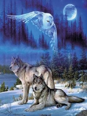 Actual product image Pracht Diamond Painting Wolves