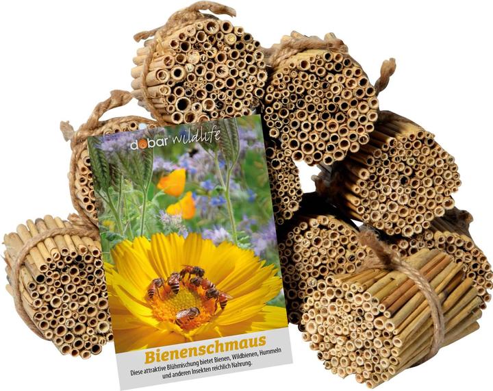 Produktbild Dobar Schilfrohrhalme-Set (Biene, Wildbienen)