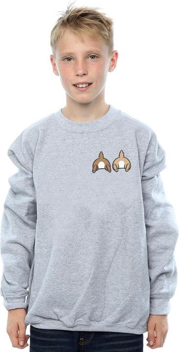 Image du produit Disney - Sweat CHIP N DALE BACKSIDE BREAST PRINT - Garçon (140, 146)