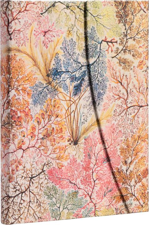 Actual product image Paperblanks Notebook PB Ultra lin.Anemone (Lined, Hardcover)
