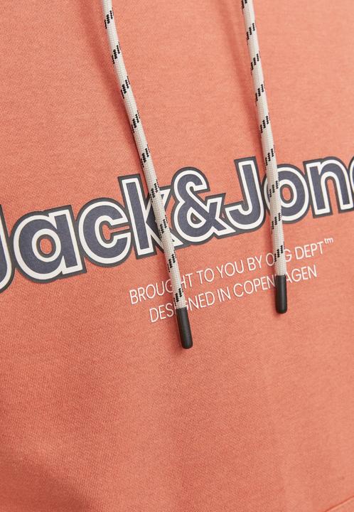 Image du produit Jack & Jones Sweat à capuche (L)