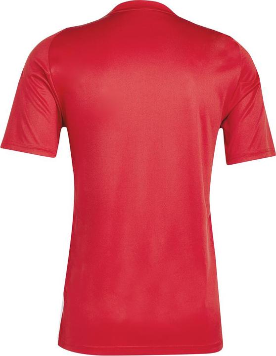 Actual product image adidas TIRO24 JSY (3XL)