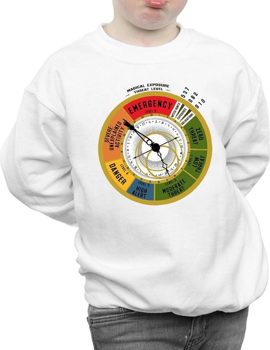 Image du produit Fantastic Beasts - Sweat THREAT LEVEL - Garçon (116)