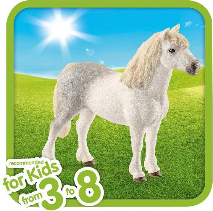 Produktbild Schleich Männlich Welsh Pony