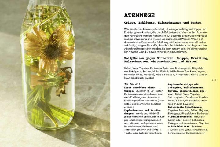 Produktbild Pflanzen als Medizin (Deutsch, Leoniek Bontje, 2022)