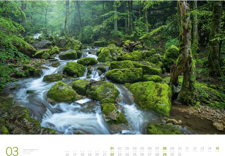 Image du produit Wald - Gallery Kalender 2026 (66 x 50 cm, Couverture rigide, Anglais, Allemand)