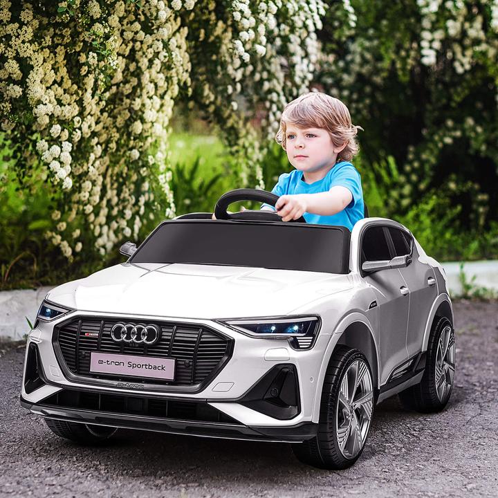 Produktbild Jamb Audi e-tron (12 V)
