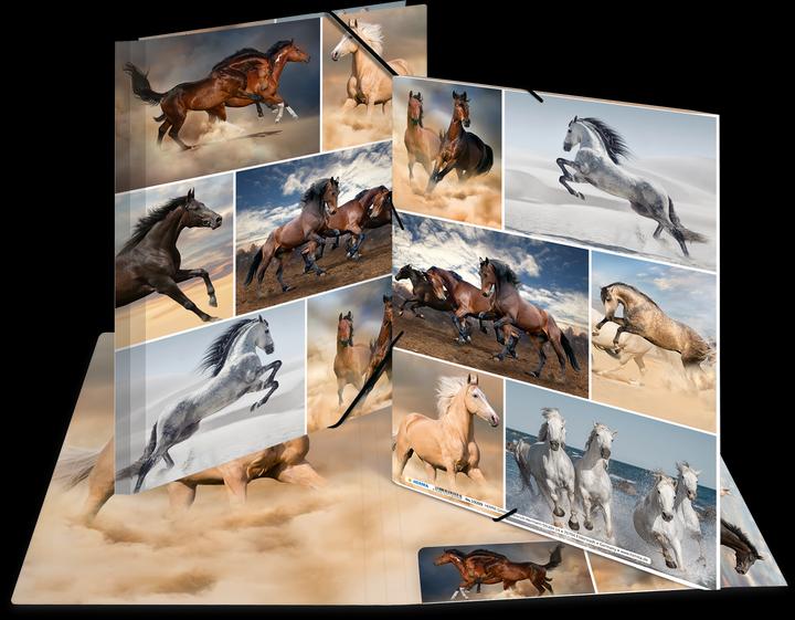 Actual product image Herma A4 motif folder (A4, 1 x)