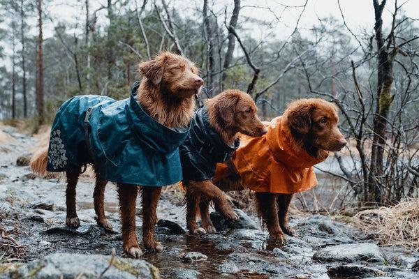 Immagine prodotto Hurtta Cappotto Monsoon mirtillo (40, Cappotto per cani)