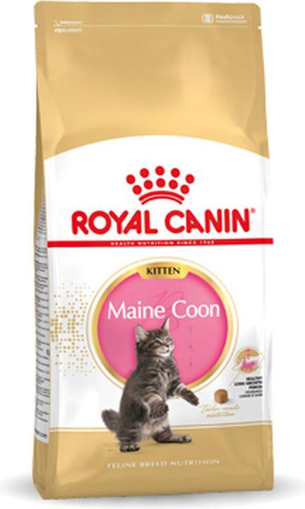 Royal Canin Maine Coon Kitten (Junior, 1 Stk., 4000 g)