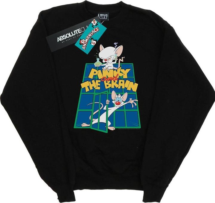 Universal Textiles Pinky And The Brain Laboratory Sweatshirt