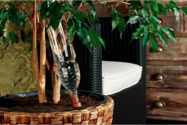 Actual product image Blumat Bottle adapter with clay cone (Clay cone)