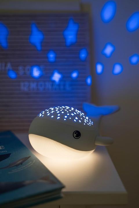 Actual product image Mega Light Willy Whale