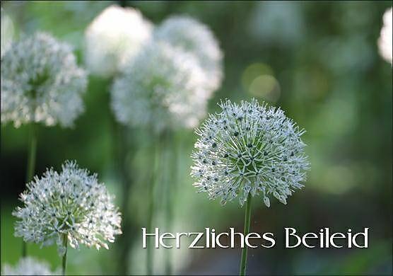 Immagine prodotto Edition Gollong Doppelkarte. Herzliches Beileid (Blte)