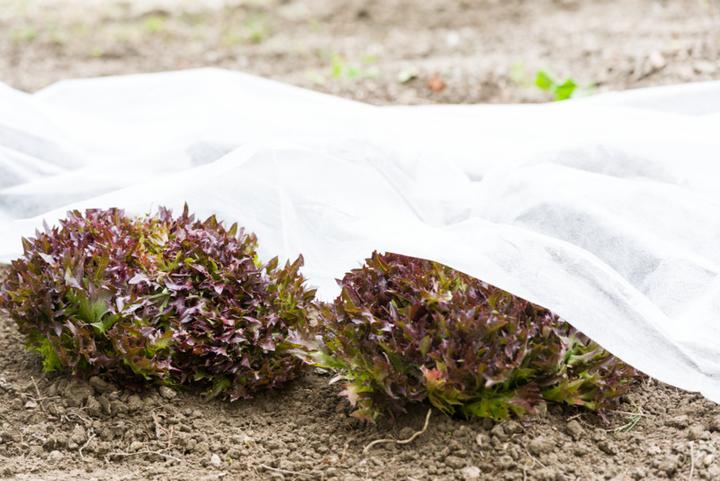 Produktbild Windhager Garten Vlies
