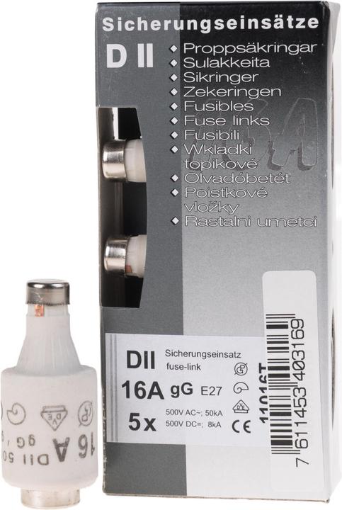 Actual product image Schönenberger Dt Ii (Diazed fuse, 16 A, Lazy)