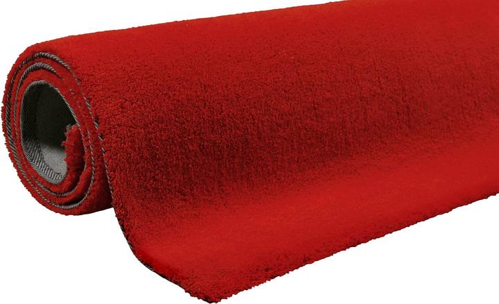 Actual product image Esprit Greenwood Rug (120 x 180 cm)