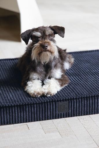 Image du produit Designed by Lotte Coussin pour cage Orthopaed Ribbed (Chien)