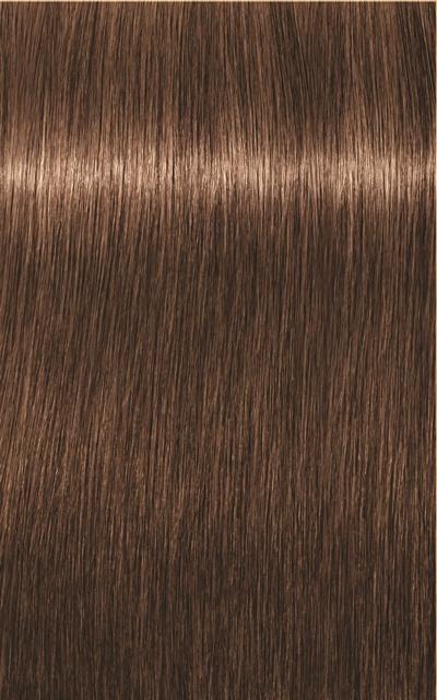 Produktbild Schwarzkopf Professional Igora Royal (6-65 Dunkelblond Schoko Gold)
