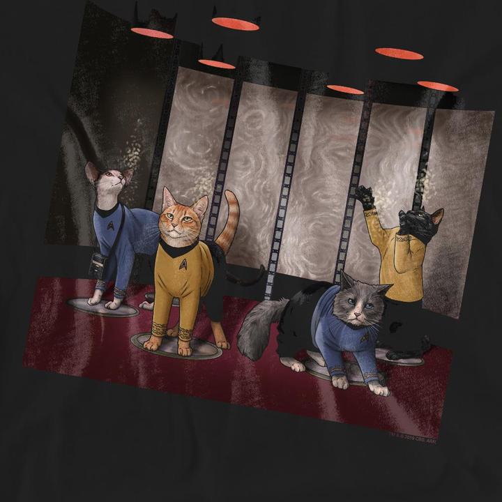 Actual product image Unisex Adult Beam Meow Up T-Shirt (S)
