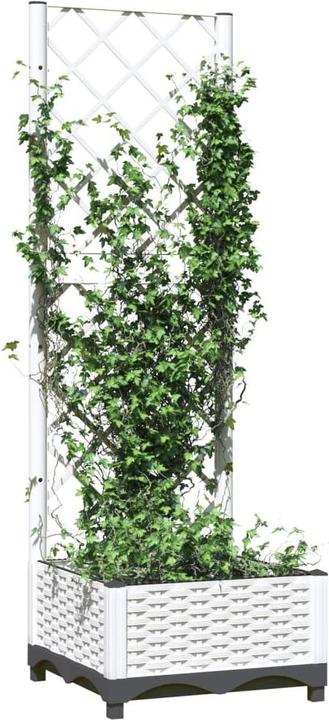 Actual product image VidaXL Madita
