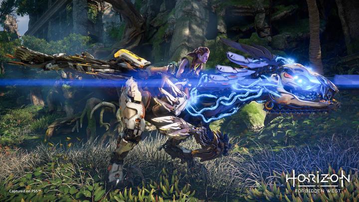 Immagine prodotto Sony Horizon: Forbidden West Standard Multilingua PlayStation 4 (PS4, FR)
