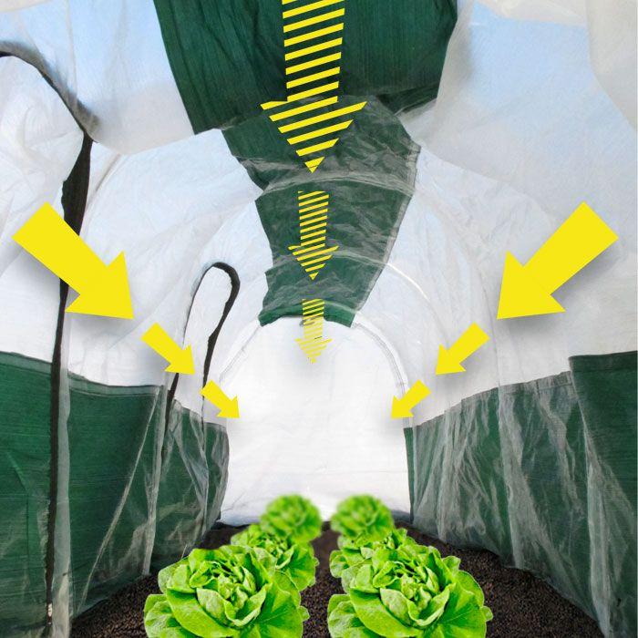 Actual product image Bio Green Super Dome