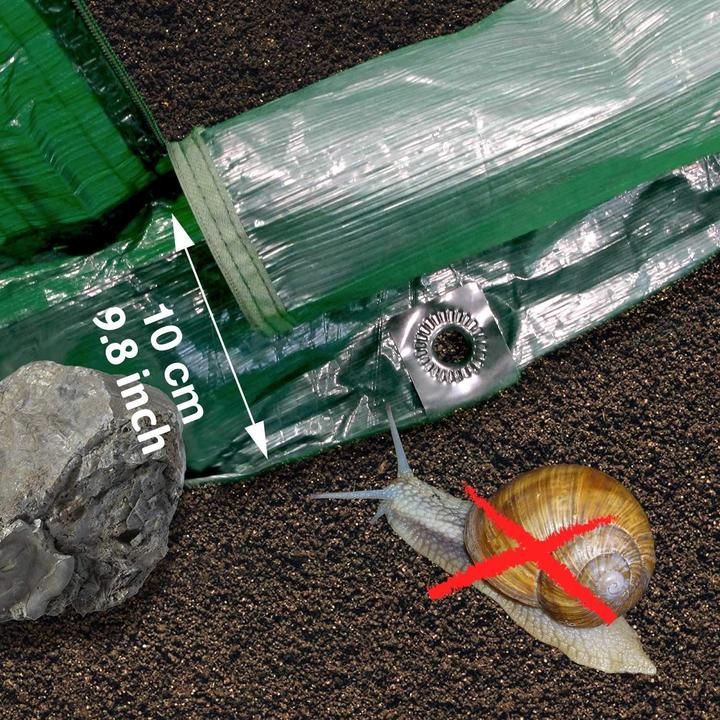 Actual product image Bio Green Super Dome