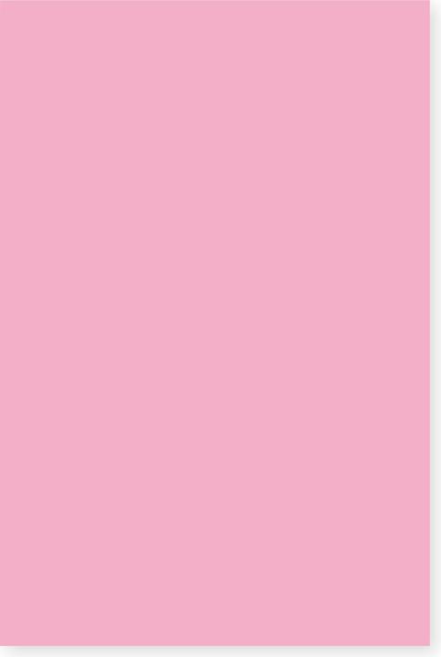 Immagine prodotto Folia Cartone argilla, 50 x 70 cm, 220 g/m² (220 g/m², 1 x)