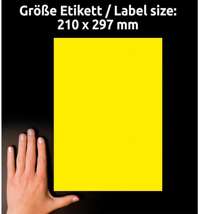 Actual product image Avery Labels in special colours