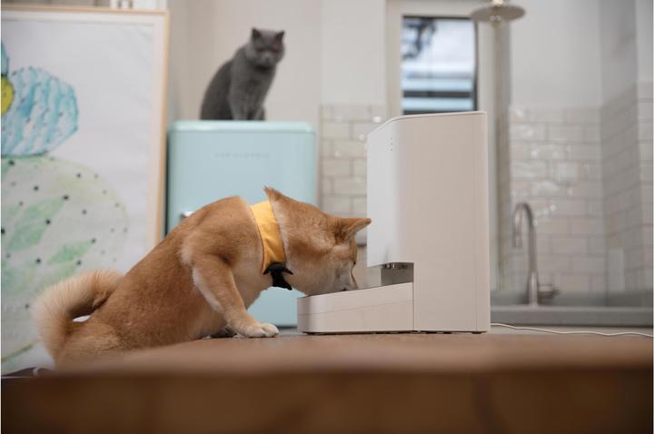 Actual product image Xiaomi Smart Pet Food Feeder (3.60 l)