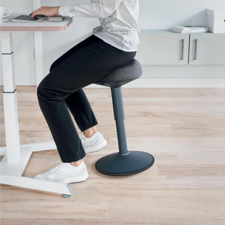 Productafbeelding Leitz Ergo Actief
